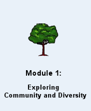 Module 1: Exploring Community and Diversity