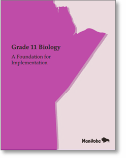 Grade 11 Chemistry: A Foundation for Implementation