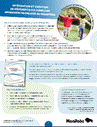 Integration and Creation of Cultural Referents in French Immersion in Manitoba cover