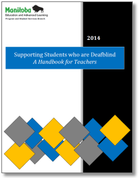 Services for Students Who Are Blind or Visually Impaired