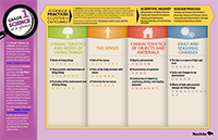 Grade 1 Science Curriculum Essentials posters