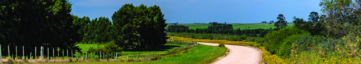 A country road with a wire fence surrounded by trees and bush-land