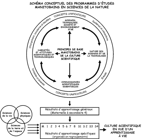 Schéma conceptuel