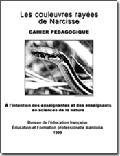 Les couleuvres rayées de Narcisse