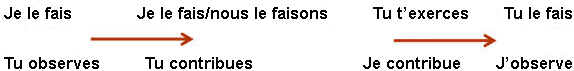 Je le fais/tu observes - je le fais, nous le faisons/tu contribues - tu t'exerces/je contribue - tu le fais/j'observe